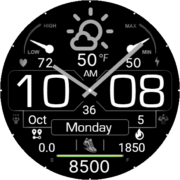 Heritage Watch Dark