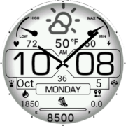 Heritage Watch