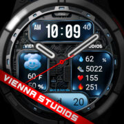 Vienna CMT