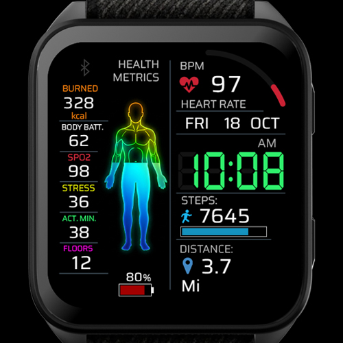 Body Info – Venu X1 Edition