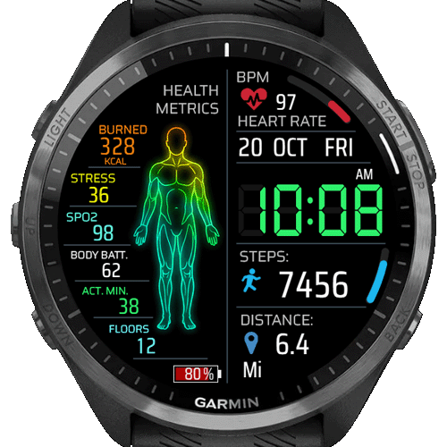 Body Info