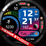 Vienna Big