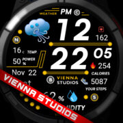 Vienna King